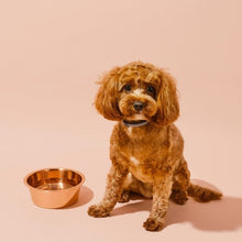 Load image into Gallery viewer, Copper Pet Bowl
